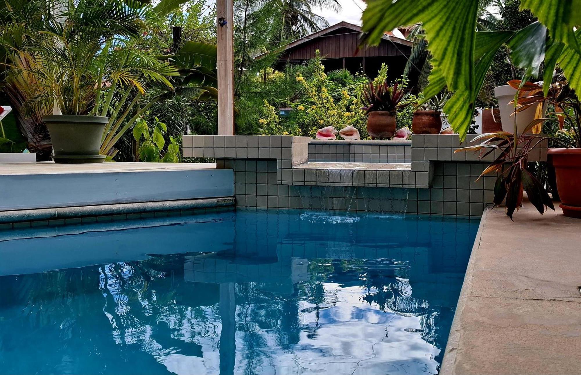 Amanda'S Place Casa Amancer - Sea View, Pool And Tropical Garden Кей-Колкер Экстерьер фото